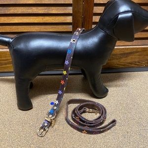 Dog Collar Leash Set